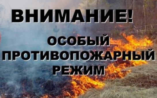 Особый противопожарный режим установлен на территории Новосибирской области!